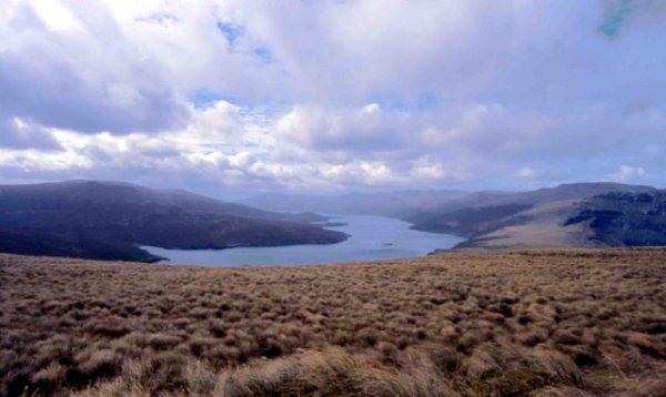 Окландските Острови (Auckland) Снимка: heritage-expeditions.comОкландските острови представляват архипелаг, разположен на юг от Нова Зеландия в близост до Антарктида. Това са множество малки, безлюдни вулканични островчета, на някои от които има следи от изоставени полинезийски селища от 13 век. Необитаемите острови са преоткрити през 1806 година от кораб, който е ловувал китове в района.