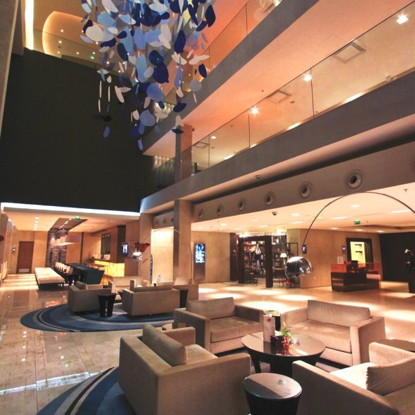 Снимка: SAOTA