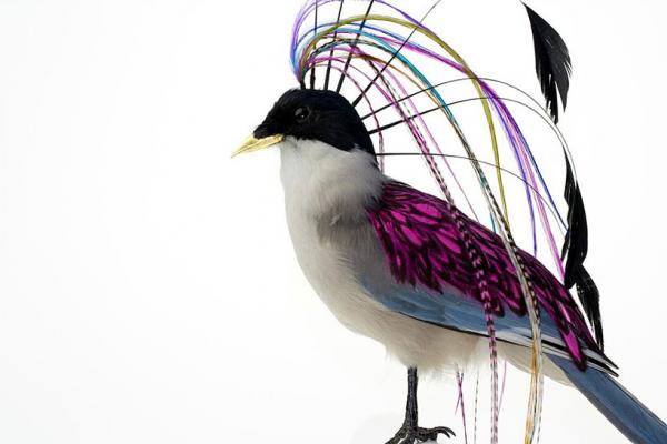 Снимка: designboom.com