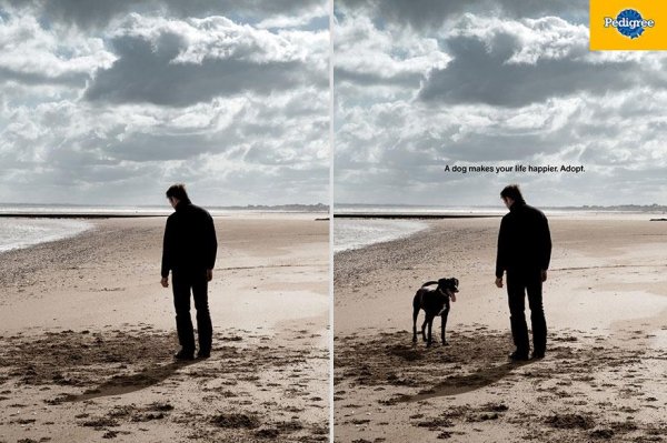 Pedigree: Кучето прави вашия живот по-щастлив. Осиновете.Снимка: Advertising Agency: AlmapBBDO, São Paulo, Brazil