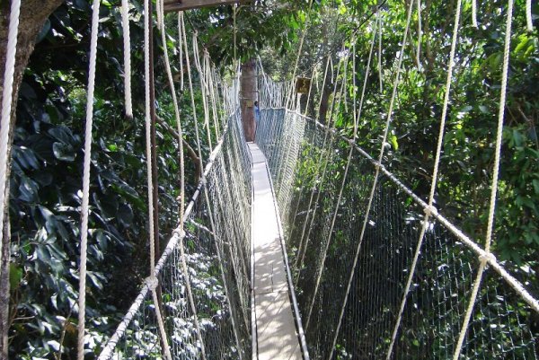 Снимка: weirdlyodd.comМост „Таман негара“, Малайзия (Taman Negara National Park Bridge, Malaysia)Този мост претендира, че е най-дългият в света от своя вид. Тази ужасяващо нестабилна констукция от въжета, мрежи и дъски е дълга около 500 метра. Построен е на 50 метра над земята, но е  достатъчно висок, за да изплаши сериозно минувачите. “Таман негара“ е една вълнуваща туристическа атракция за онези, които търсят тръпката.