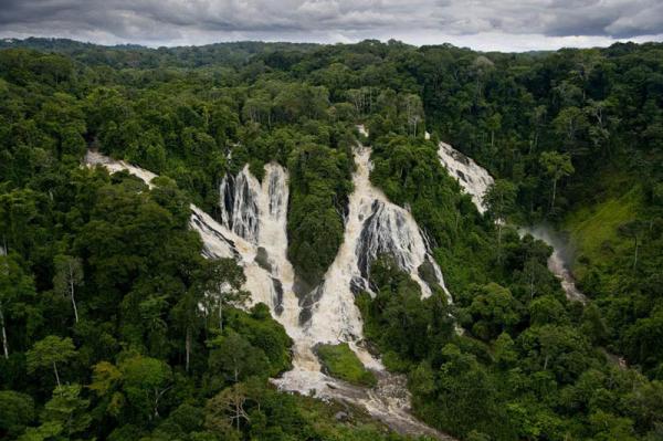 Габон... Снимка: Yann Arthus Bertrand