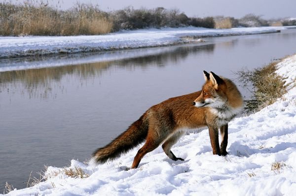 Снимка: acrisdesign.com