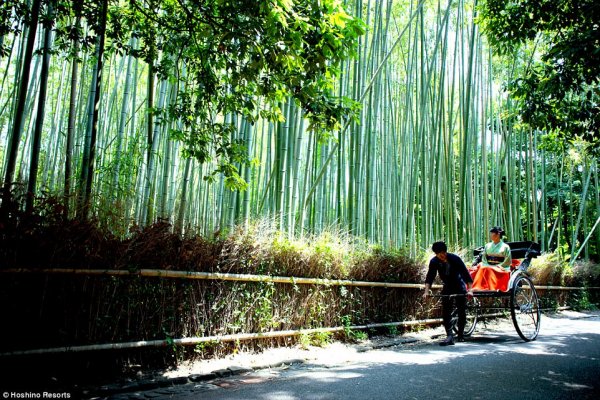 Снимка: Hoshino Resorts