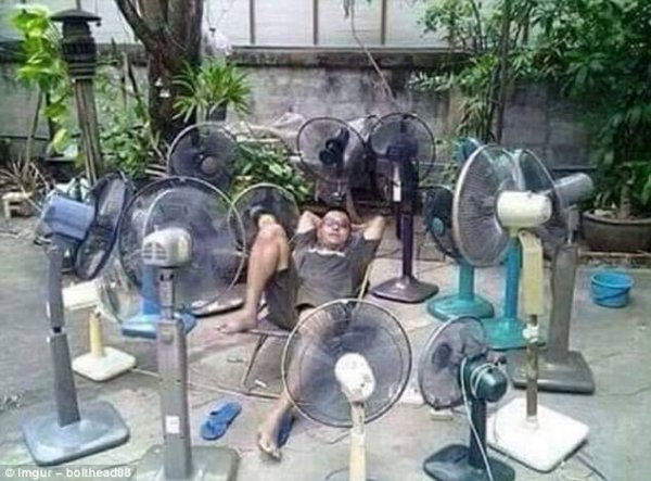 Снимка: Imgur