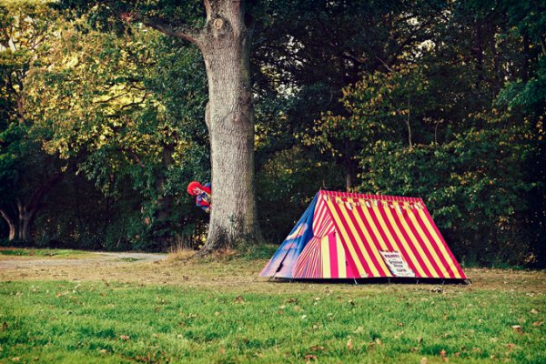 Снимка: FieldCandy