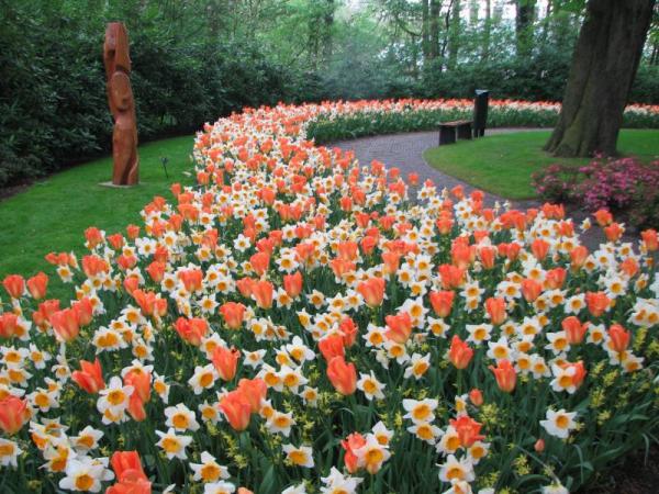 Снимка: www.keukenhof.nl