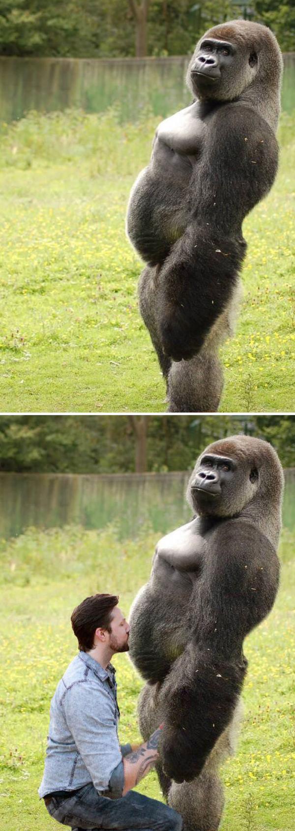 Снимка: Bored Panda