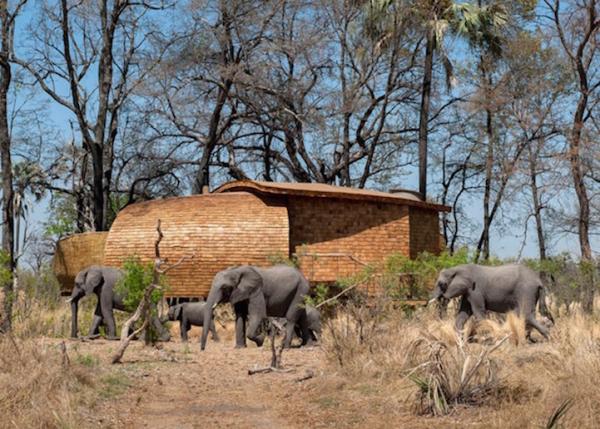 Снимка: Sandibe Okavango Safari Lodge