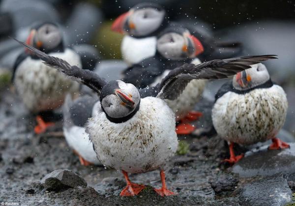 Снимка: Reuters