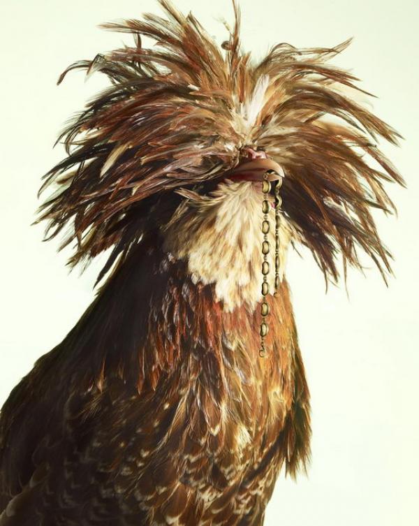 Снимка: Peter Lippmann
