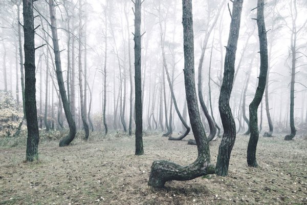Снимка: Kilian Schoenberger Photography