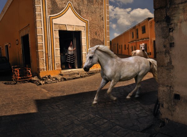 Снимка: Tom Chambers