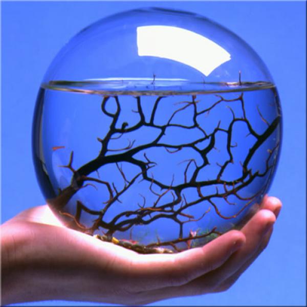 Снимка: eco-sphere.com