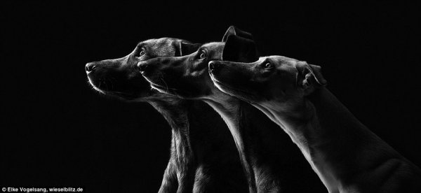 Снимка: Elke Vogelsang