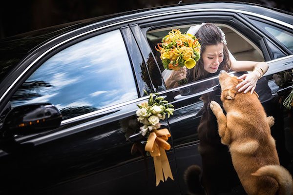 Китай - Есента на 2014 годинаСнимка: elitedaily.com