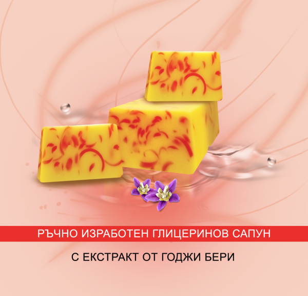Снимка: Refan