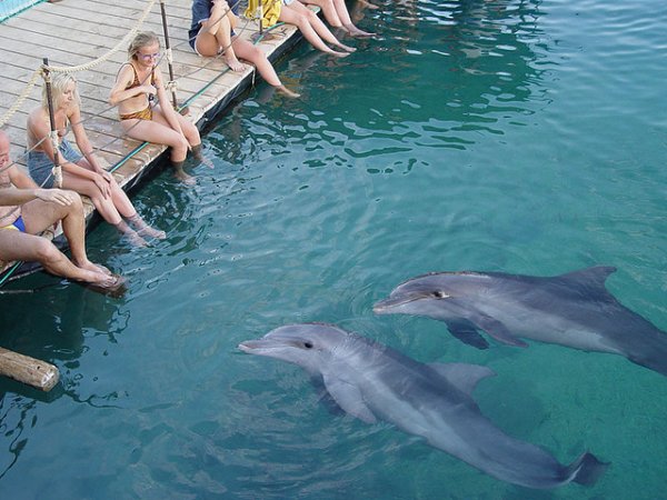 Снимка: worldfortravel.com