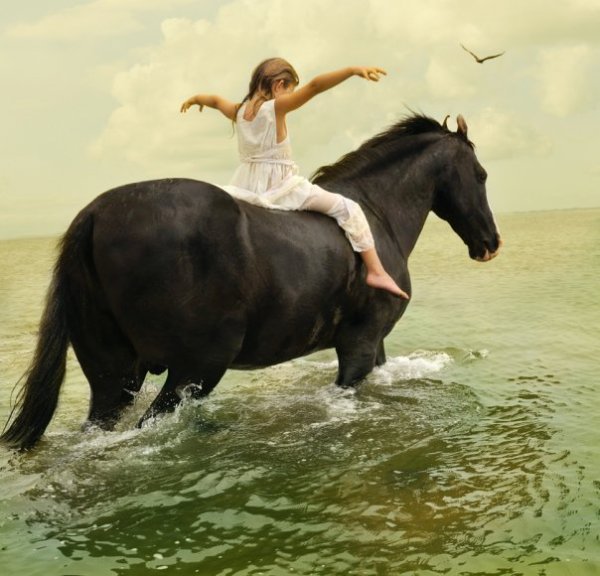Снимка: Tom Chambers