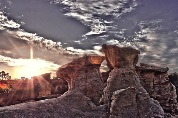 Снимка: markflowerphotography.com
