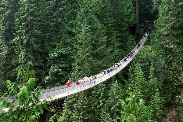 Снимка: weirdlyodd.comВисящ мост “Капилано“, Канада (Capilano Suspension Bridge, Canada)Мостът „Капилано“ в Британска Колумбия е построен през 1889 година от шотландския инженер и комисар на Ванкувър - Джордж Грант Маккей. Този мост се простира на 137 метра по дължина и на 70 метра по височина над реката Капилано. Мостът е напълно възстановен през 1956 година. Той е голяма туристическа атракция и е може би най-старата във Ванкувър.