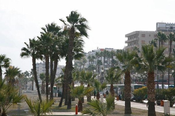 Снимка: cypruspictures.net