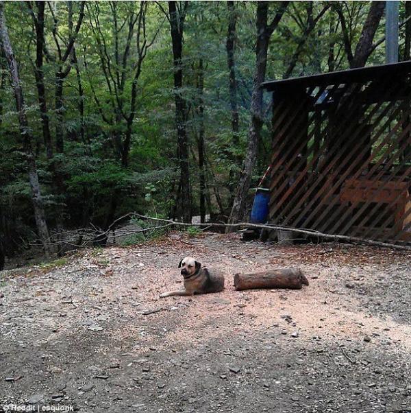 Снимка: Reddit