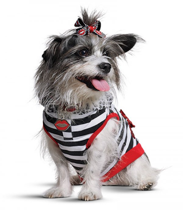 Снимка: community.petco.com
