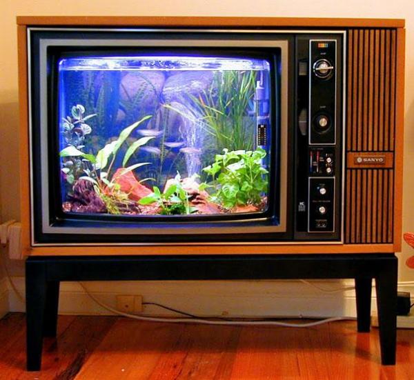 Снимка: aquahobby.com