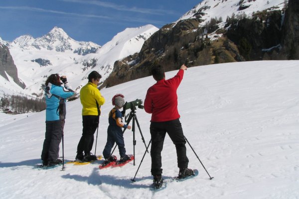Снимка: osttirol.com