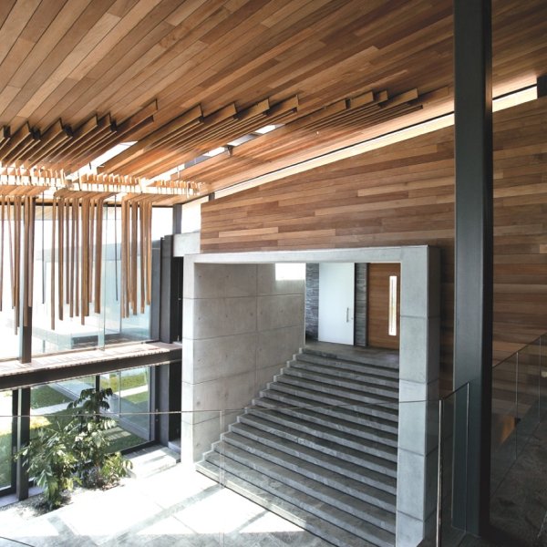 Снимка: SAOTA