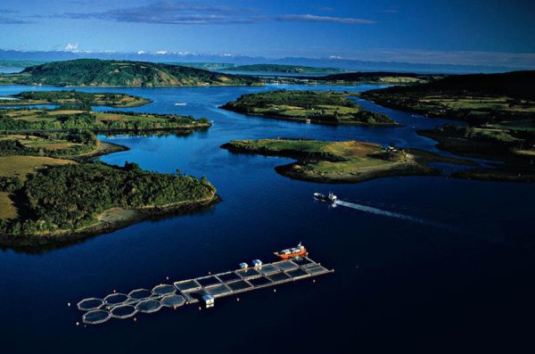 Острови край Чили... Снимка: Yann Arthus Bertrand