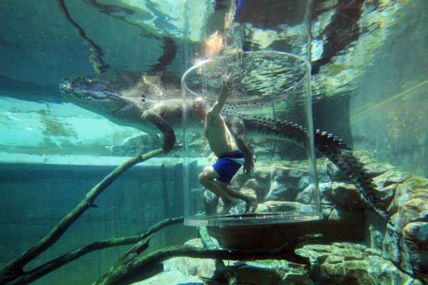 Снимка: crocosauruscove.com