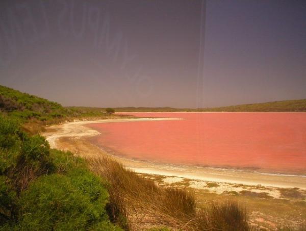 Снимки: hillierlake.com