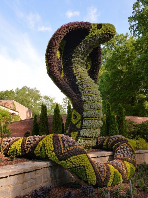 Снимка: Atlanta Botanical Gardens