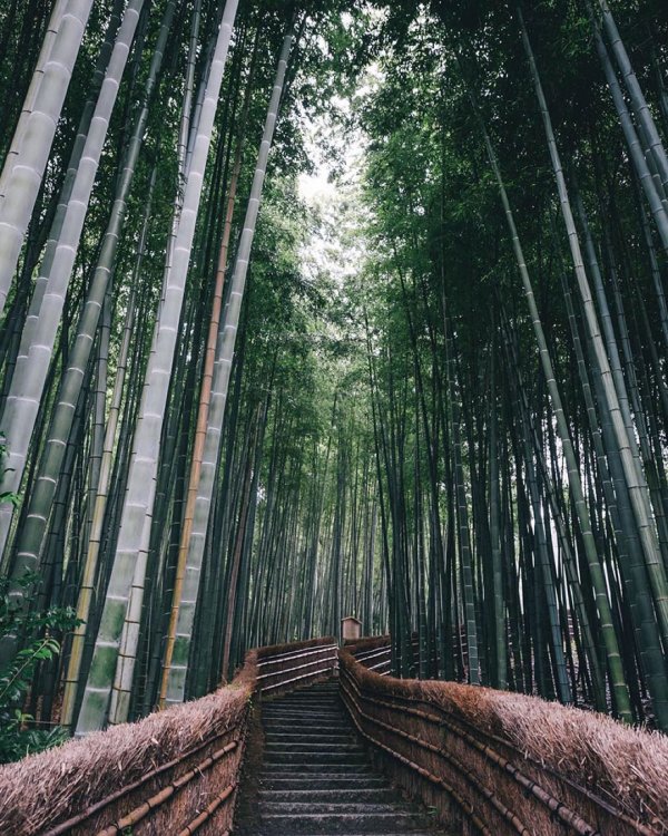 Снимка: Takashi Yasui