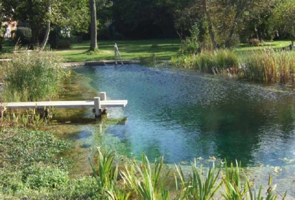 Снимка: NaturalSwimmingPools
