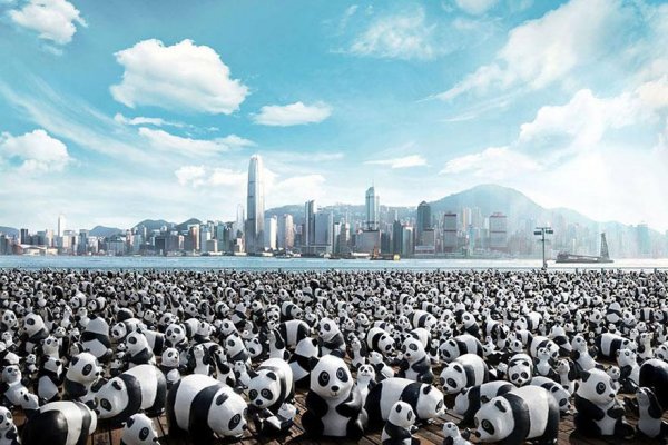 Снимка:  pandasworldtour.tw 