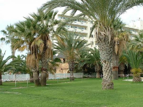 Снимка: cypruspictures.net