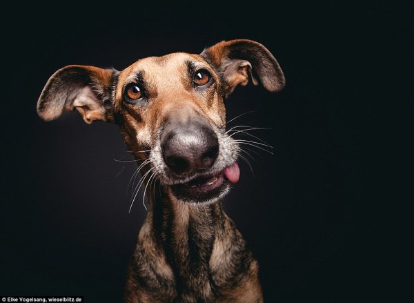 Снимка: Elke Vogelsang
