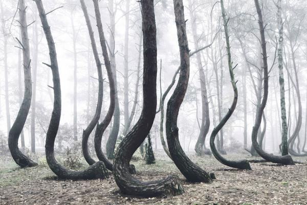 Снимка: Kilian Schoenberger Photography