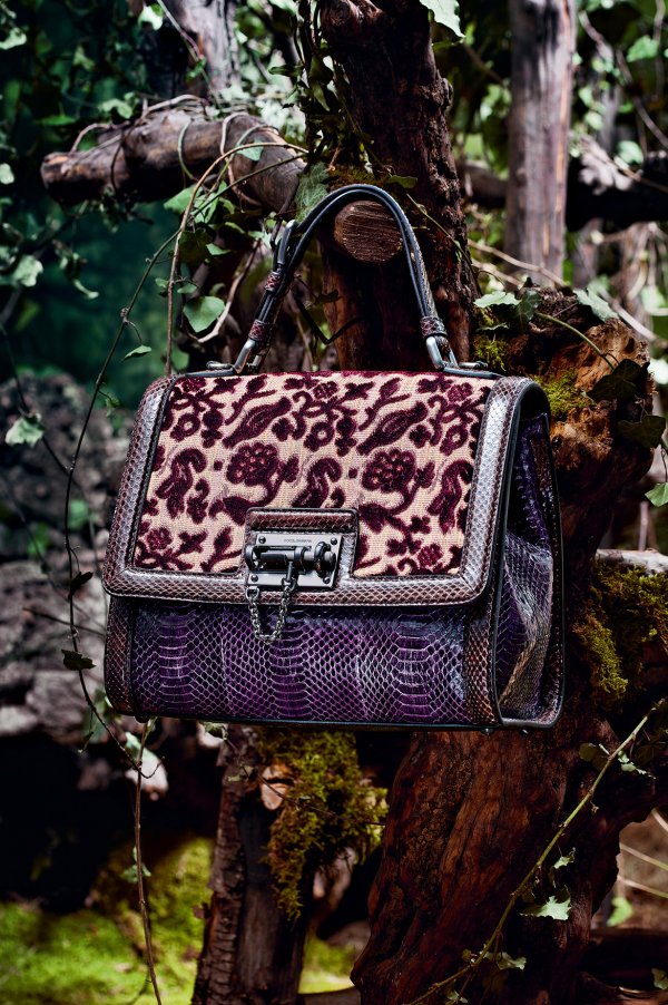Снимка: Dolce & Gabbana