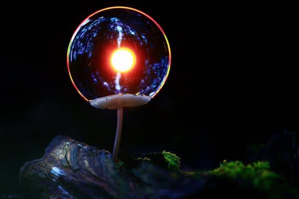 Снимка: nat-geo.ru