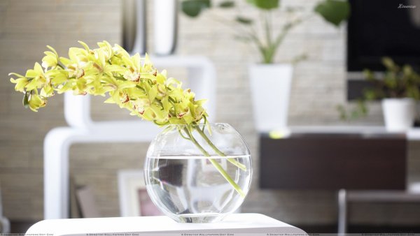 Снимка: home-designing.com