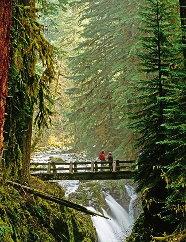 Мост над водопада "Sol Duc", Вашингтон. Снимка; architecturaldigest.com