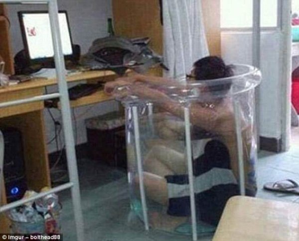 Снимка: Imgur