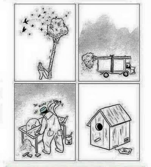 Снимка: Facebook