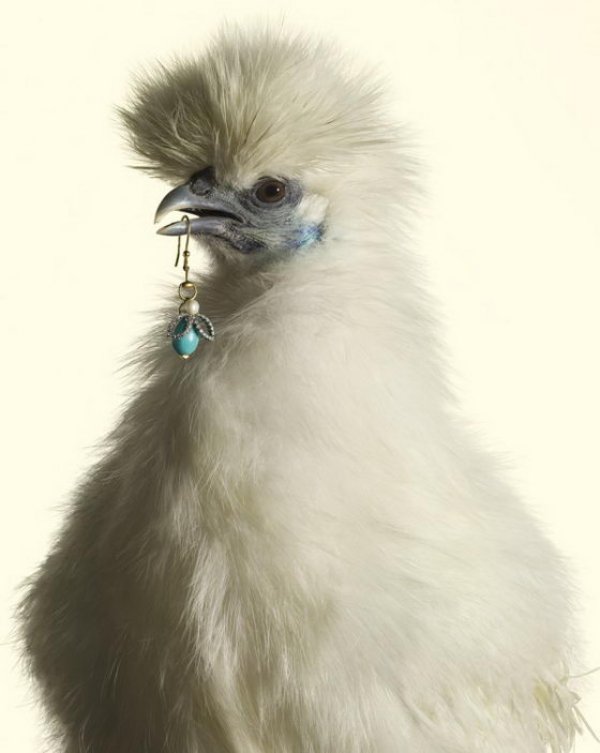 Снимка: Peter Lippmann