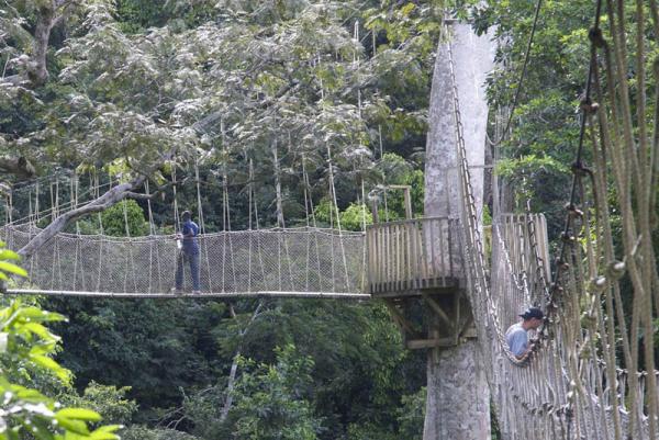 Снимка: weirdlyodd.comВъжено трасе в парка „Какум“, Гана (Canopy Walk in Kakum National Park, Ghana)