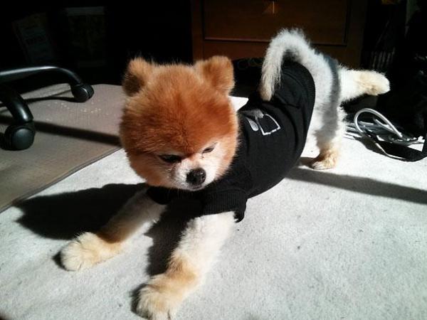 Снимка: BoredPanda
